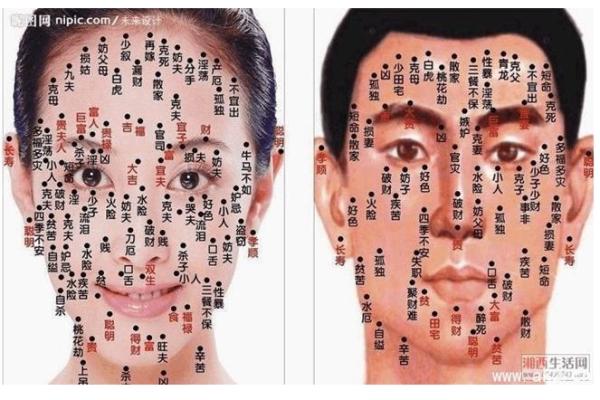 识人如神：揭秘面相六爻，精准洞察人心秘术