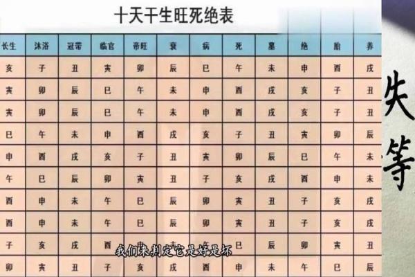 揭秘男命财入墓库：财运起伏的秘密