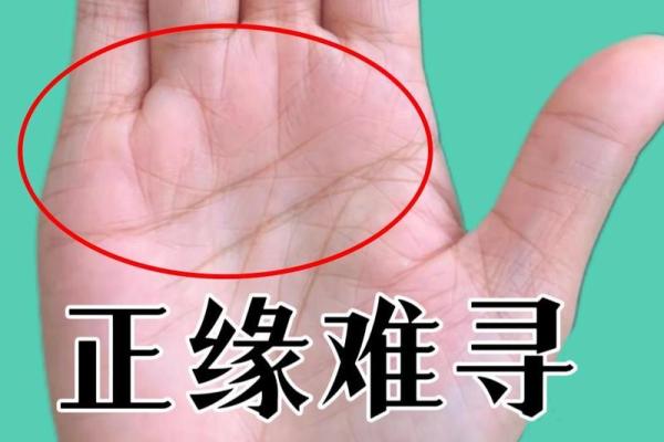 揭秘：为何有些人手相中缺少关键线条？手相奥秘大公开
