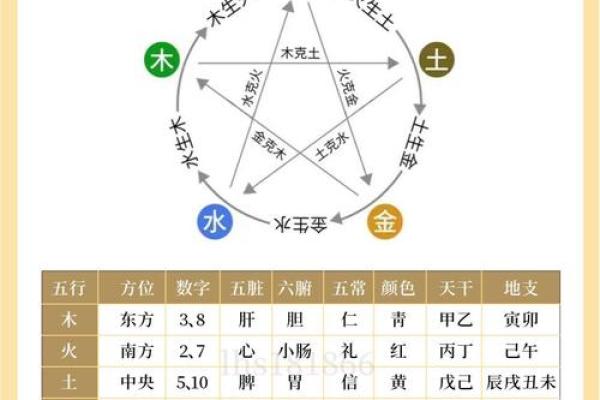 存五行到底属于哪个元素？专家为你解答