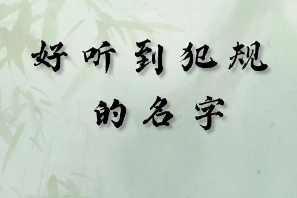 毛字起名，给宝宝一个充满力量和温暖的名字