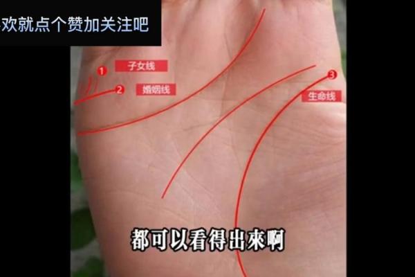手相揭秘：算命大师揭秘你一生有几个孩子？