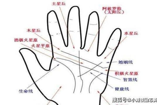 揭秘凤眼纹手相：财富运势的绝佳预示，快来测测你的财运