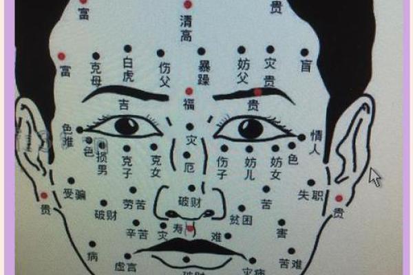 一眼识人：揭秘面相学的奥秘，让你的命运从此改写