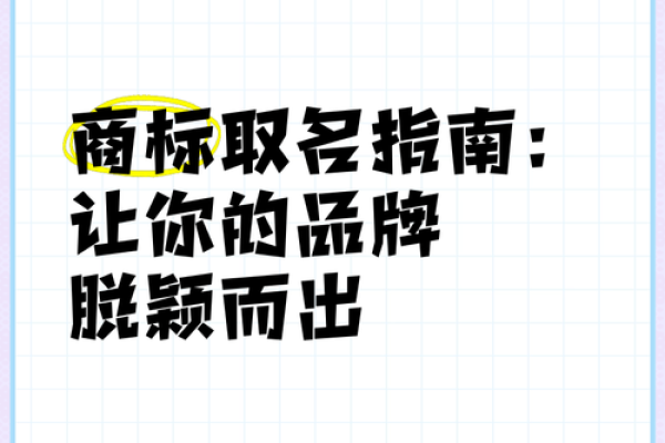 让产品名字脱颖而出，选择顶级起名公司