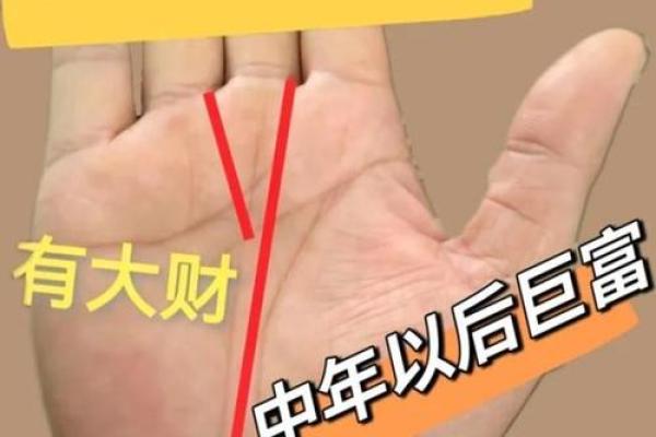 川字掌纹揭秘：爪咋回事，揭秘命运与财运的秘密