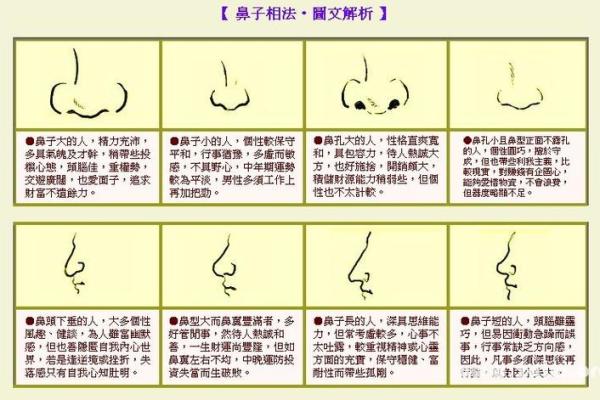 面相揭秘：五官布局竟预示着人生运势必看