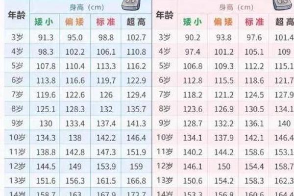 属相年龄大揭秘：年龄与生肖的秘密联系，你了解多少？