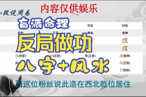 从盲派命理看人生：破解命运的秘密
