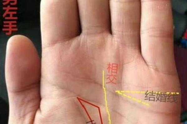 揭秘：手相婚线三线交织，预示着怎样的婚姻命运？