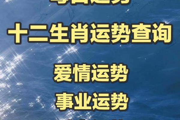 生肖财运亨通：2024年人民币运势大揭秘
