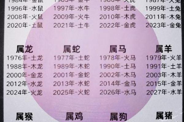 属相配对大揭秘，一家三口完美组合指南
