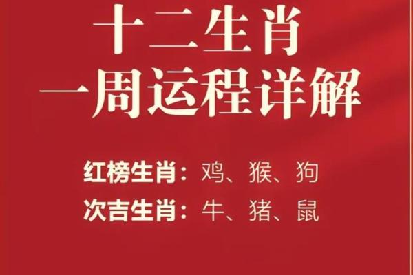琴韵流年，琴心独白：琴之生肖传奇