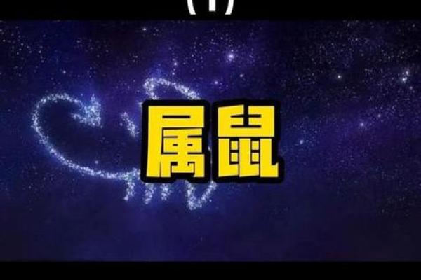 鼠年吉月，揭秘属鼠月份的财运密码
