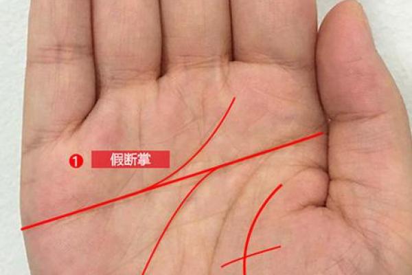 手指肚横纹暗示惊人命运揭秘手相中的神秘预兆