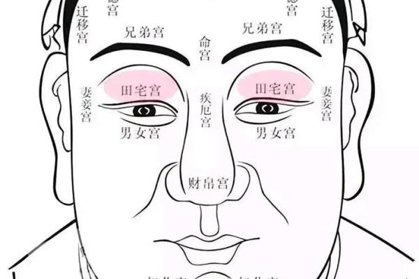 揭秘面相十二宫，教你一眼识人，财运、事业、健康全掌握