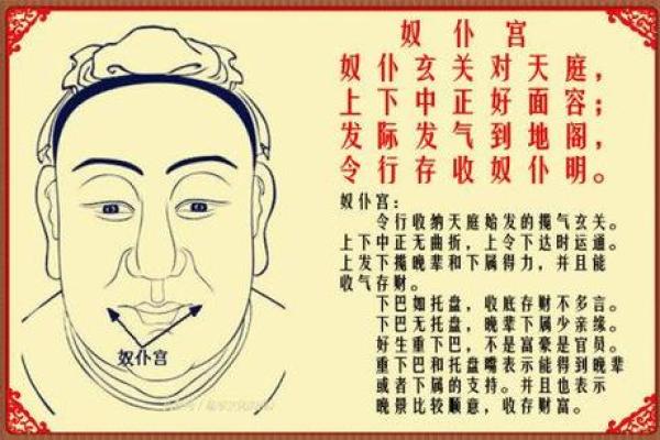 揭秘面相十二宫，教你一眼识人，财运、事业、健康全掌握