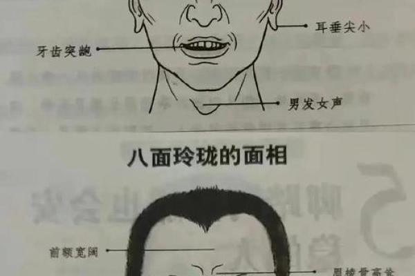 妈妈与老师的面相揭秘：命运与性格的神奇预示