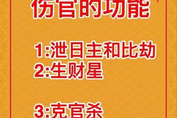 揭开八字断风水的神秘面纱，助你走向成功人生