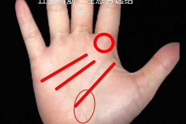 川字掌纹揭秘：你的创业天赋与财富密码