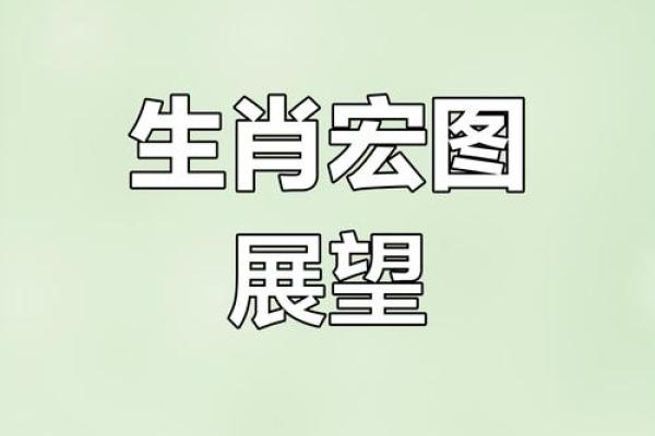 2024生肖运势大揭秘：谁能一跃成为新贵？