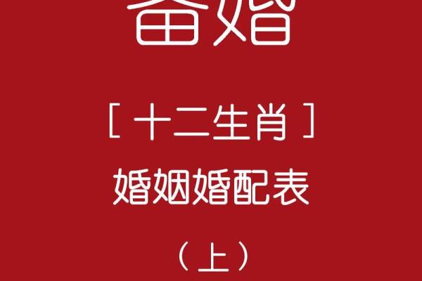 周易算命婚姻指南：属相配对，助你找到真爱良缘