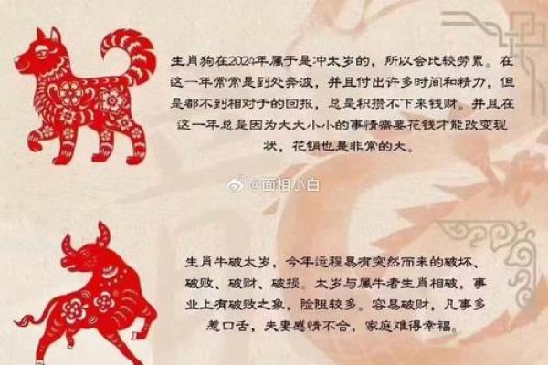 冬至生肖揭秘：谁是今年的运势之王？