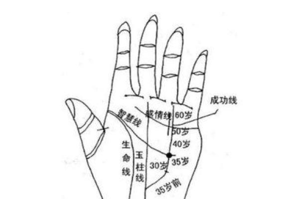 揭秘手相奥秘：男性生命图解大全，让你一眼看穿命运之谜