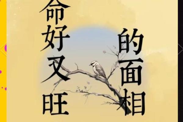 破损之耳，财运亨通？揭秘面相中的神秘力量
