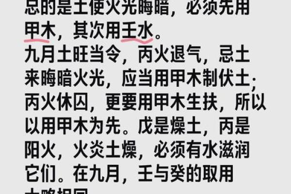 揭秘火命元：点燃运势，成就非凡人生