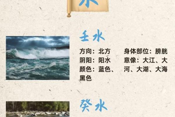 天干与地支哪个更具影响力，解读五行的深层关系