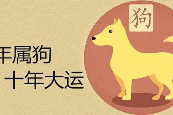 94年出生的属狗人，揭秘你的运势密码