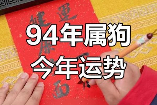 94年出生的属狗人，揭秘你的运势密码