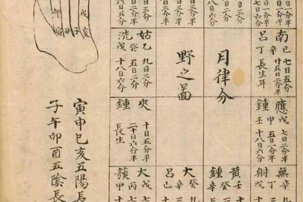 五行八字查询器，揭开命运的神秘面纱！