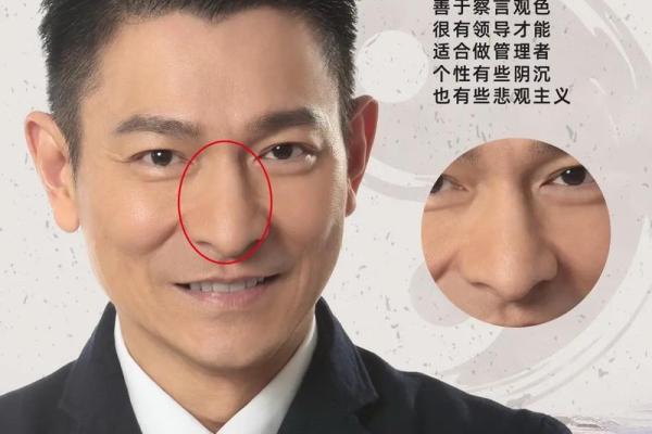 面相识人心：一眼看穿命运之谜