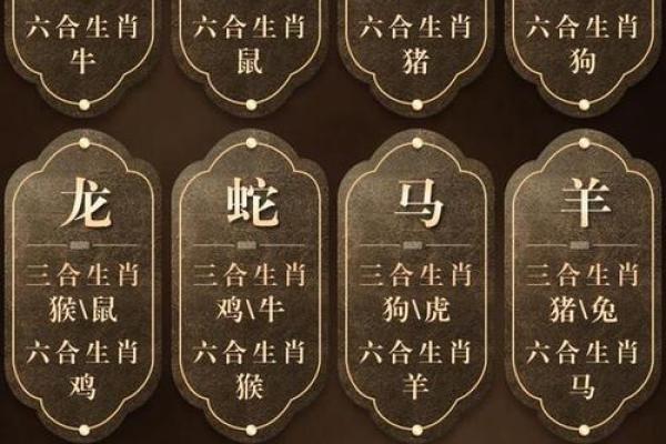 揭秘：肖氏生肖之谜，你属于哪个生肖？