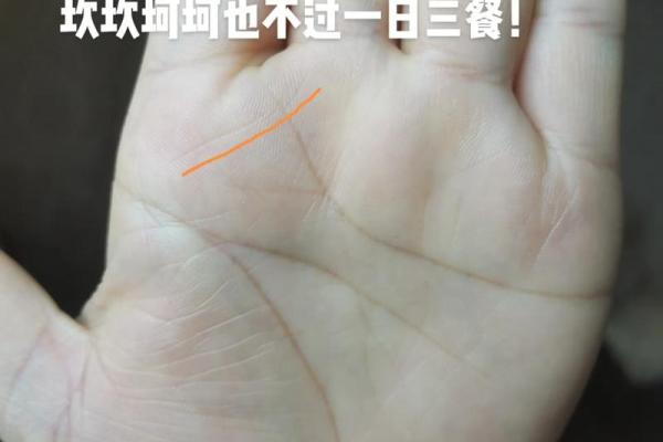 左右逢源手相术：揭秘财富运的神奇奥秘