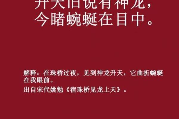 生肖风云：揭秘地上生肖的神奇力量