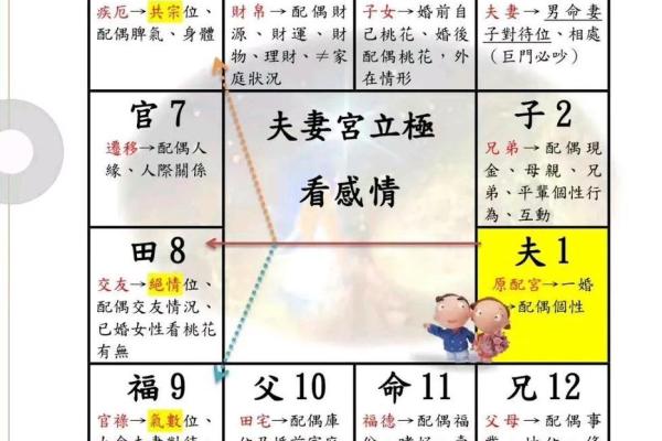 紫微斗数排盘依据揭秘，如何精准预测未来