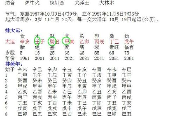 己日干命理解析：探究命运中的深层密码