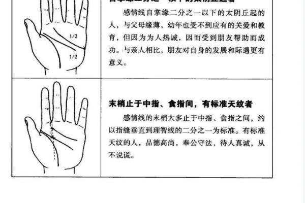揭秘手相命线：一招看透命运的秘密