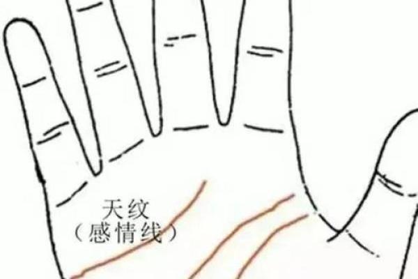 一招劈手相还，手相解读从此不再难