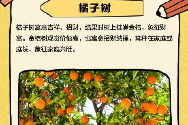 庭院风水秘籍：打造吉祥如意绿意盎然家居宝地