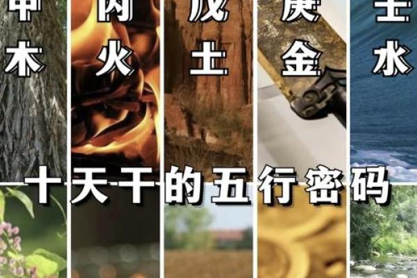 天干生我背后的奥秘，如何影响你的一生