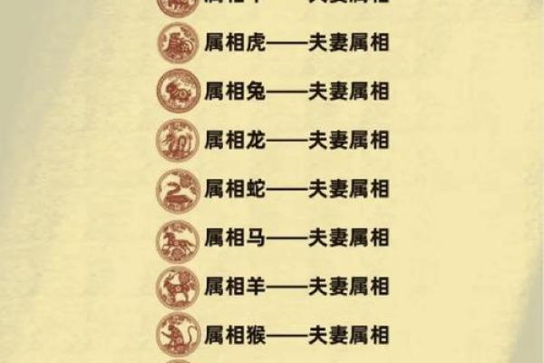 水命8几年的你，揭秘属相秘密