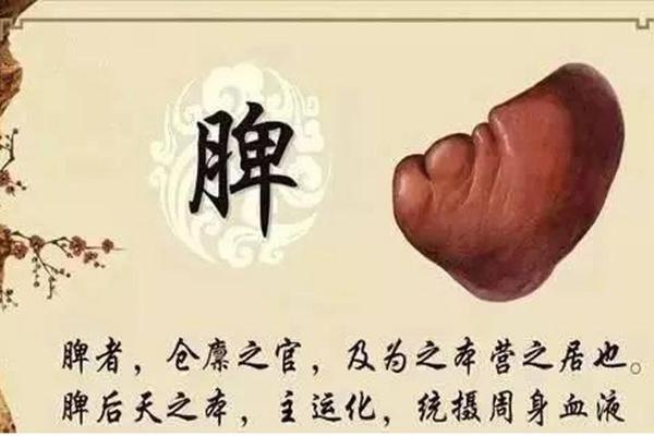 5月23日，揭秘你的饿命密码