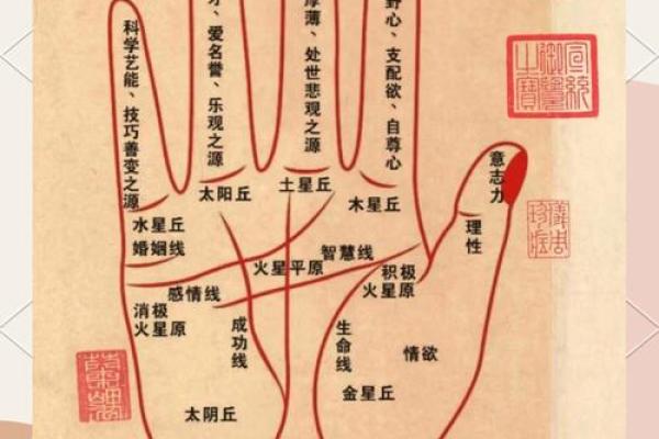 揭秘手相圆型纹：掌握命运密码的神奇指南