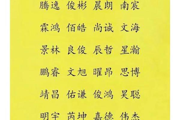 独特男孩名字大全：让名字成为孩子的骄傲