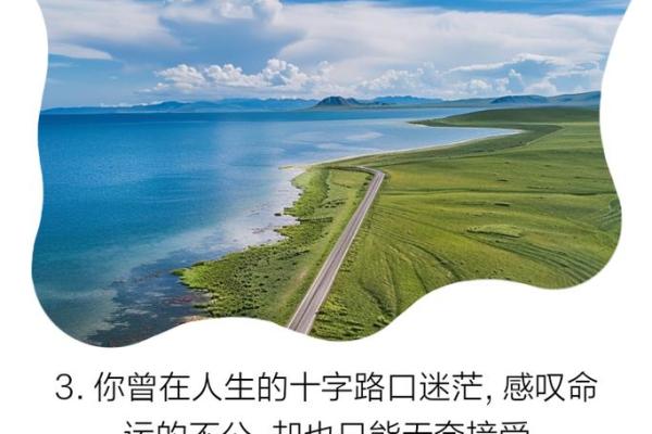 穷命鬼：揭秘那些命途多舛的人生真相