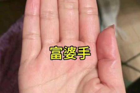 手相揭秘：小康与富翁，一触便知富贵命